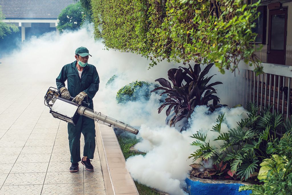 Dengue Spray in lahore