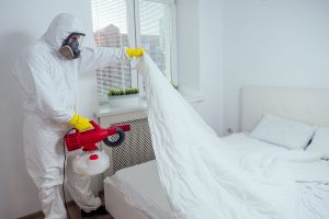 bed bugs spray in lahore